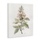 Stupell Industries Subtle Watercolor Botanicals Canvas Wall Art Design by Carol Robinson